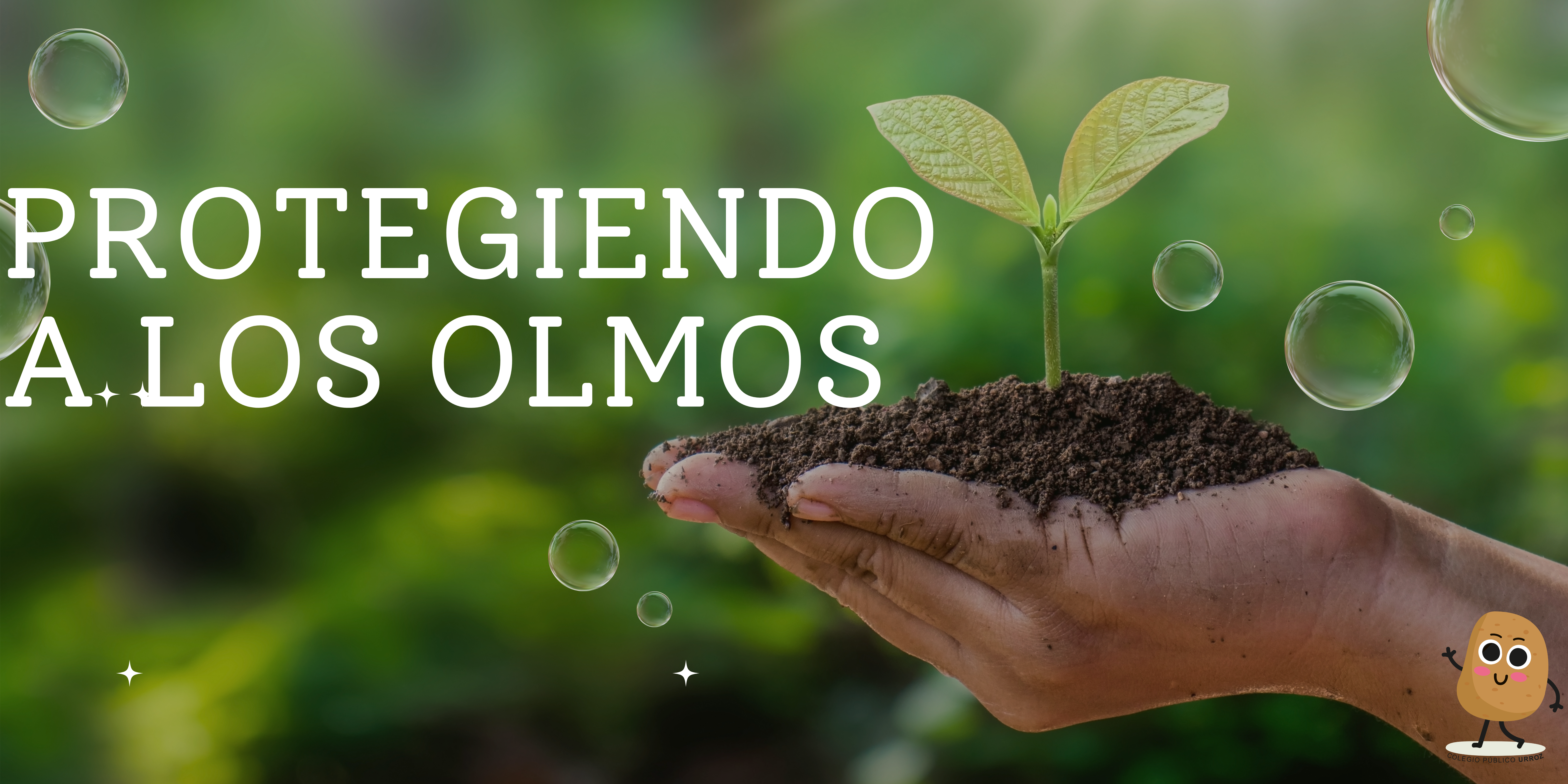 Guardianes de los Olmos: Nuestro compromiso con el patrimonio natural